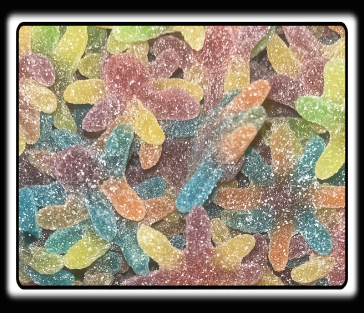 Octopus pieuvre Jake 04/2027 numéro de lot : 5153