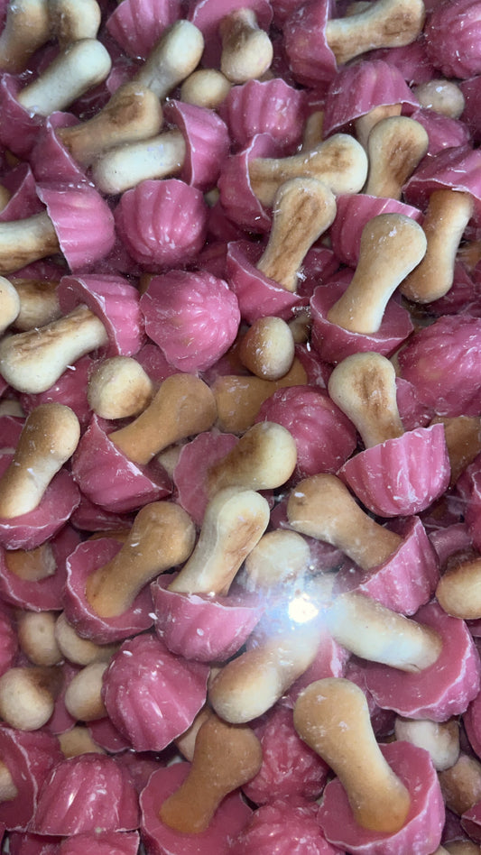 Champignon à la fraise ( lot de 10)