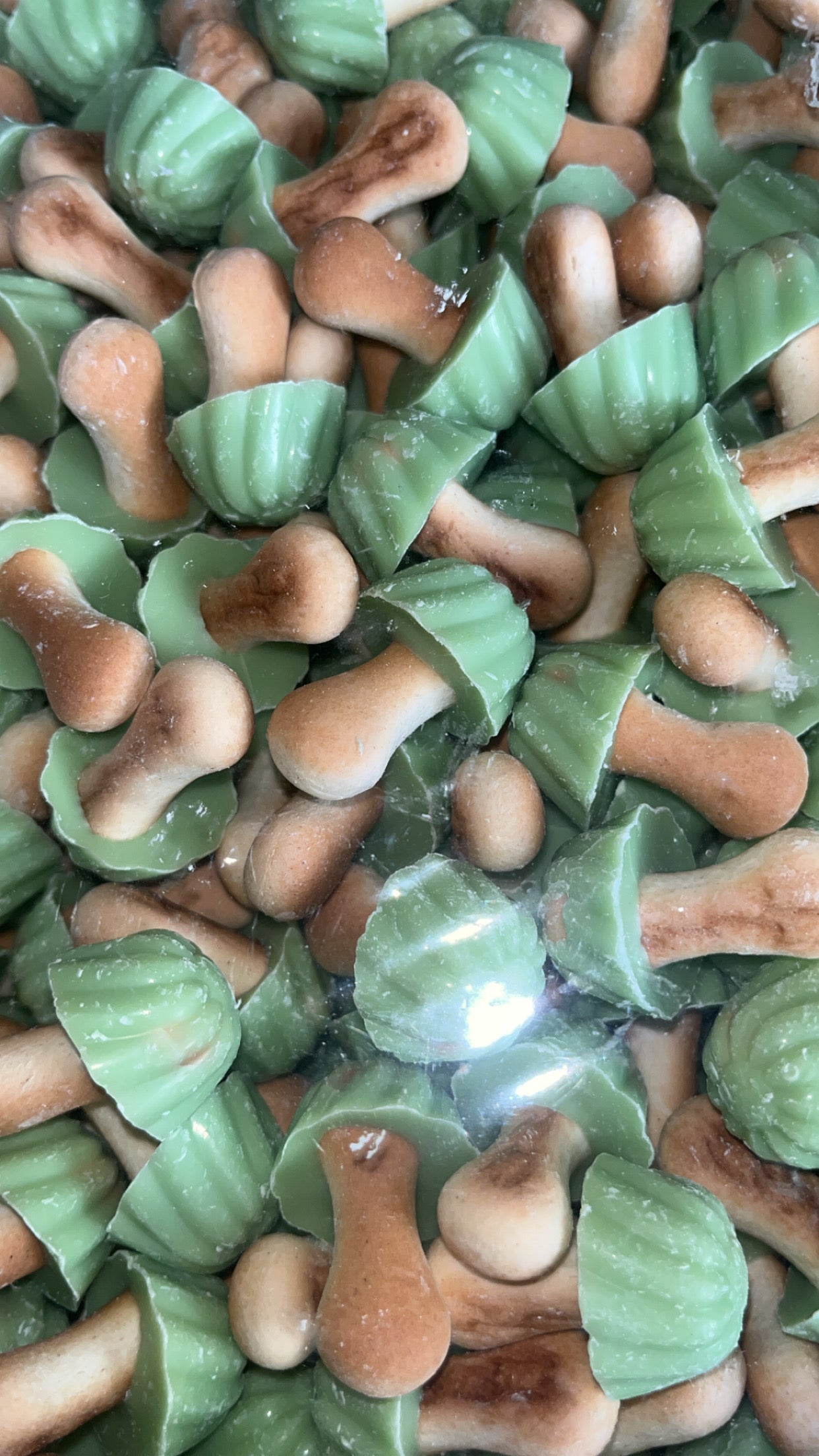 Champignon Chocolat Pistache ( Lot de 10 )