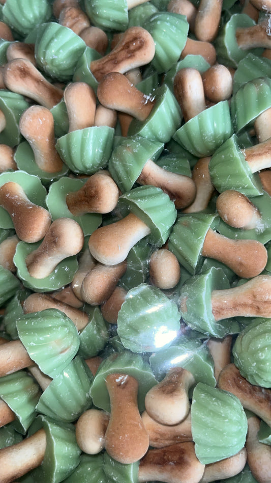 Champignon Chocolat Pistache ( Lot de 10 )