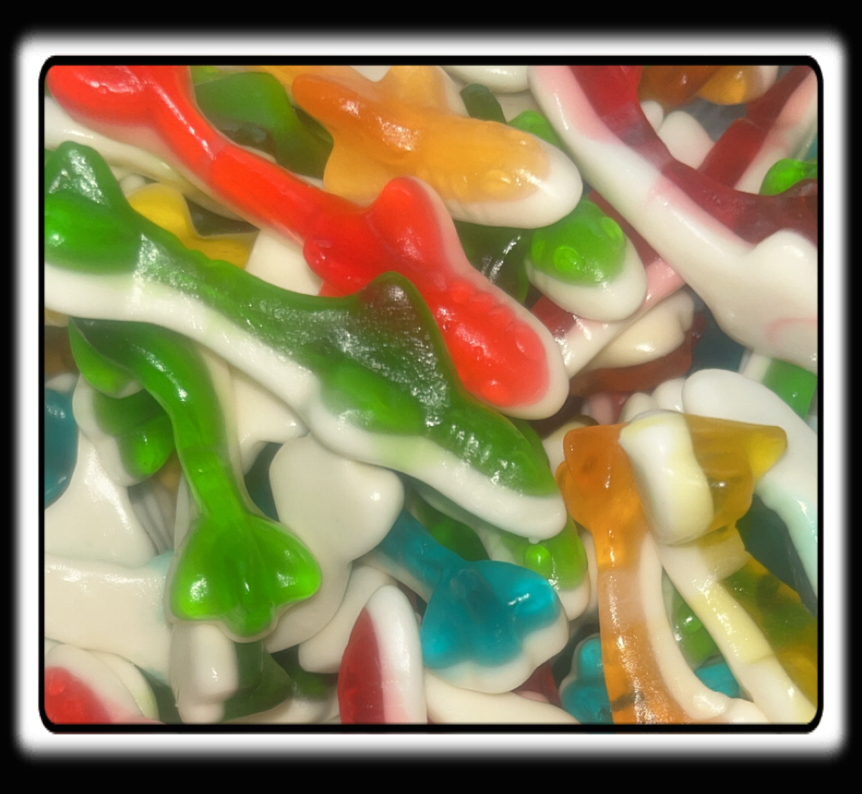 Requin lisse Jake 05/2027 numéro de lot : L-5191 ( 100 grammes )