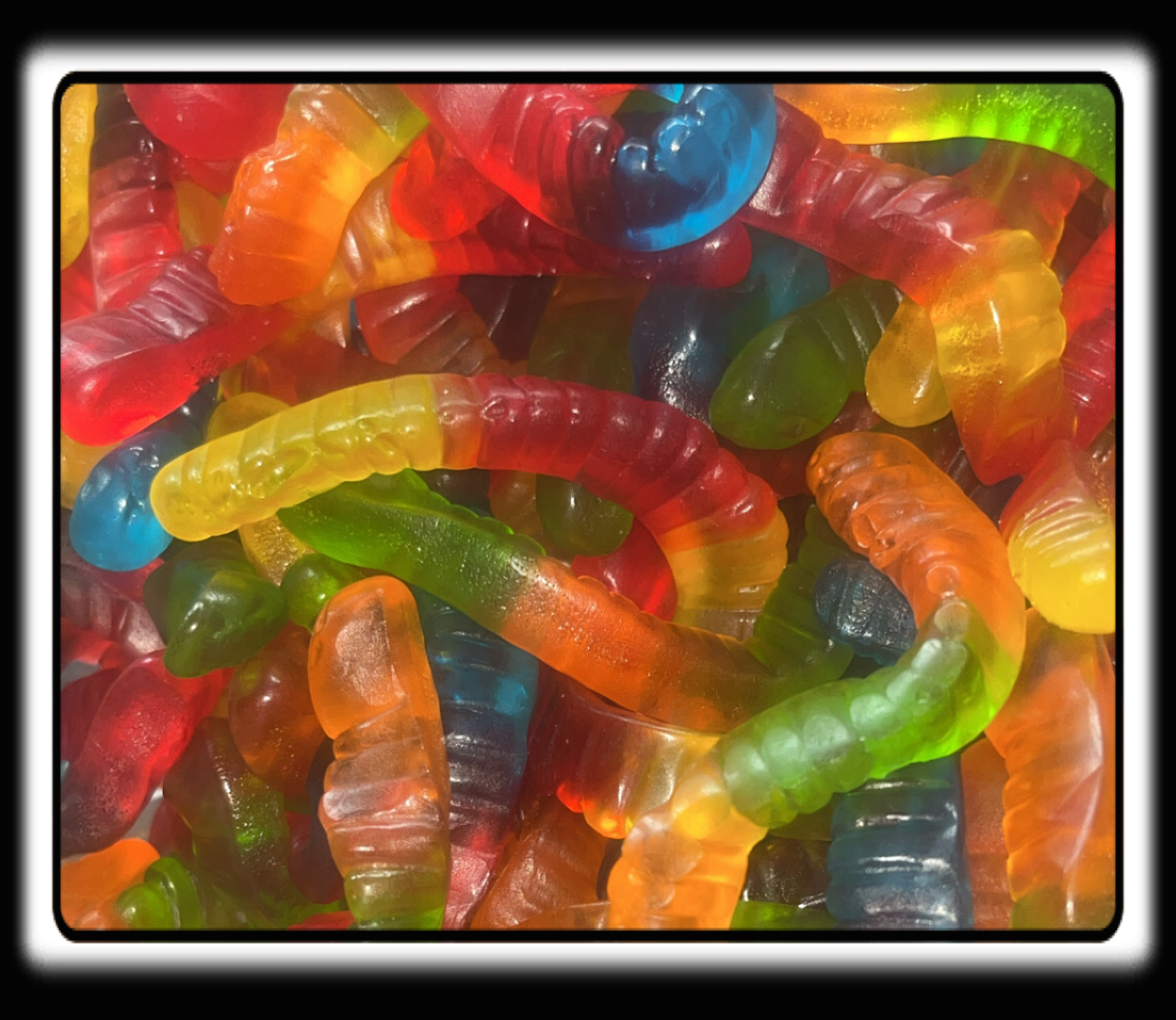 Vers de terre lisse Damel 05/2027 numéro de lot : 22C205 ( 100 grammes )