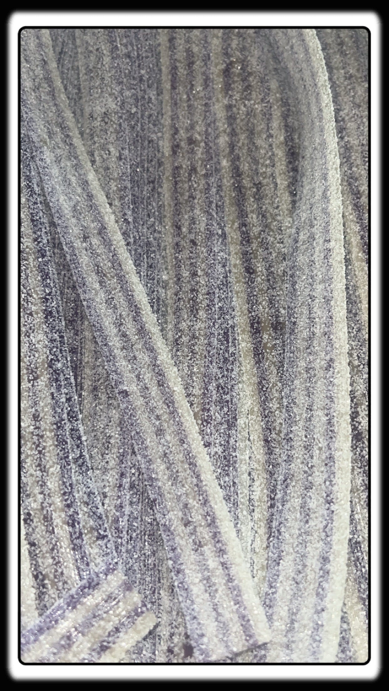 Ceinture Groseille/vanille Damel 01/2027 numéro de lot : 56495 ( 100 grammes)