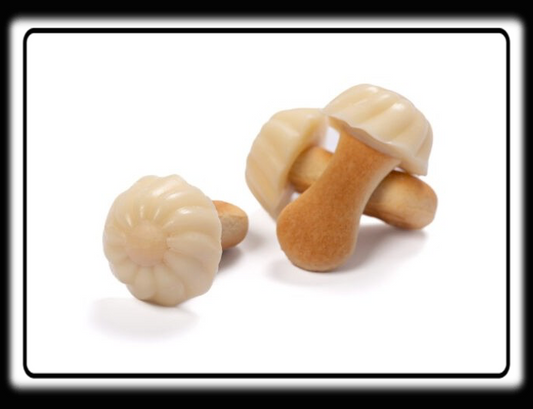 Champignon chocolat blanc 28/06/2026 Numéro de lot : 25-31-4 ( lot de 10 )