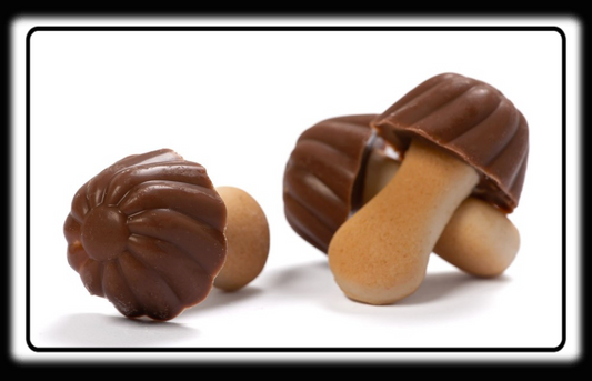 Champignon chocolat/caramel 16/05/2026 Numéro de lot : 25-25-3 ( lot de 10 )